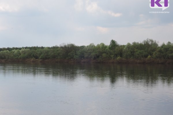 Русло реки Большая Визинга расчистят и углубят 

