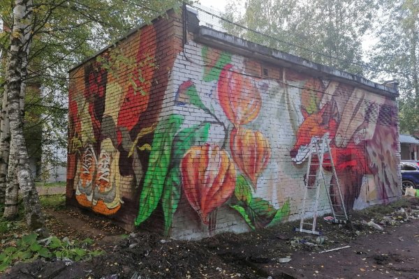 Сыктывкарский стрит-арт художник преобразил здание подстанции в городе