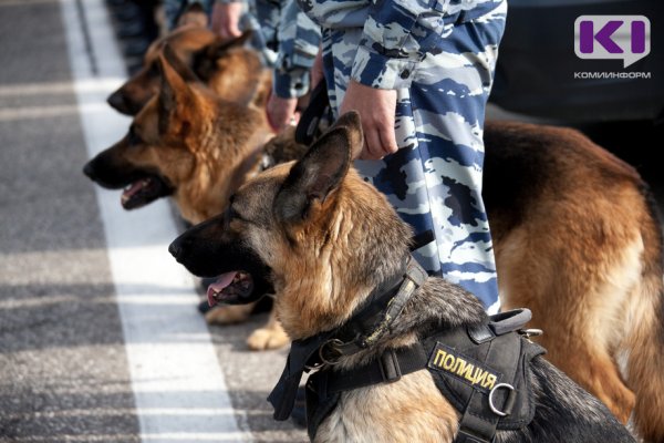 В Княжпогостском районе полицейская овчарка помогла раскрыть преступление
