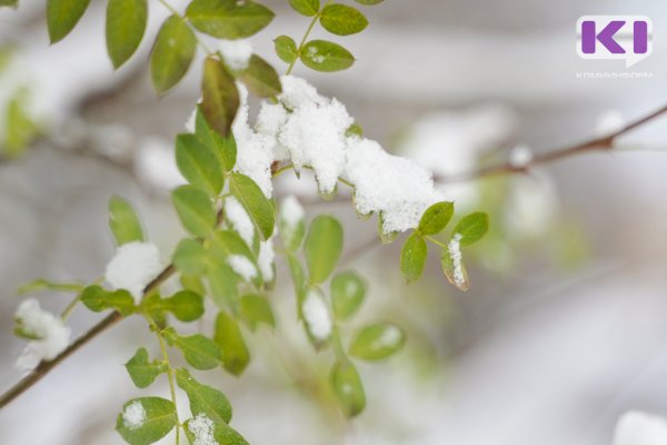 Погода в Коми 16 октября: в Печоре и Усинске дождь со снегом