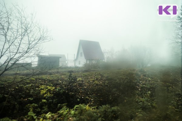Зыбкий туман: ноябрь в Коми не смог побить тепловые рекорды