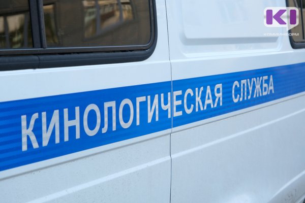 Сыктывкарская полиция ищет в школах 