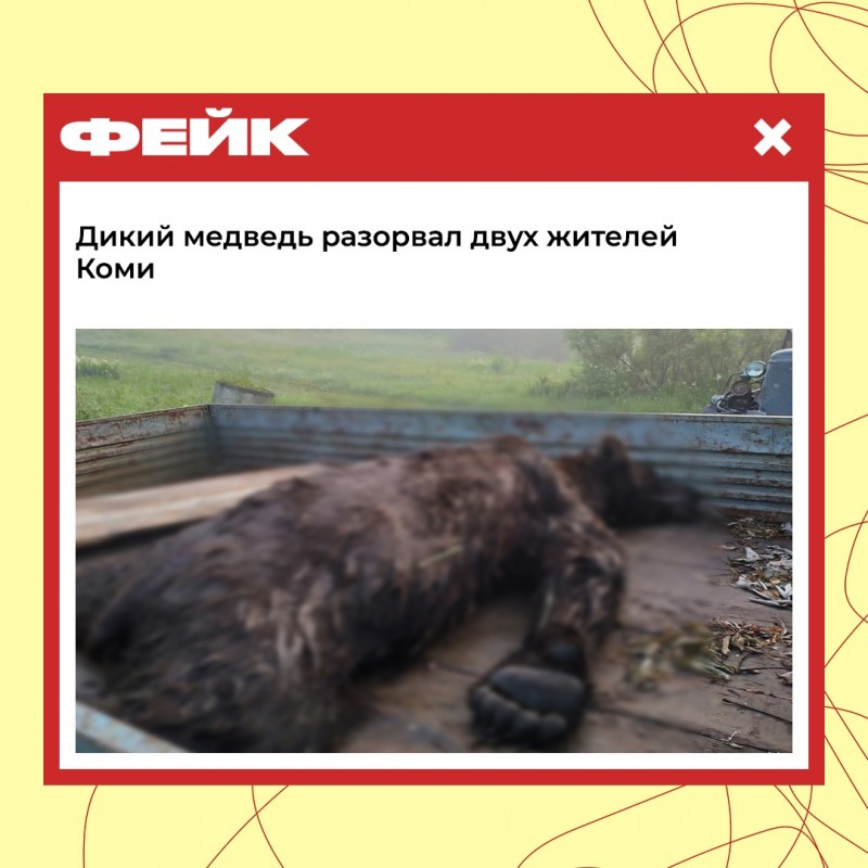 Фейк про медведя-людоеда из Коми пришлось опровергать через платформу "Лапша"