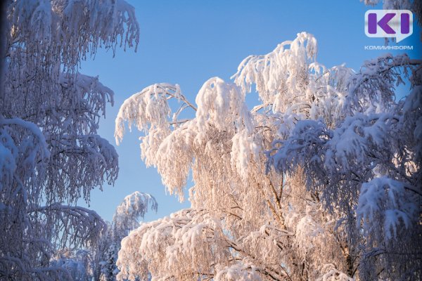 Погода в Коми 5 января: мороз подбирается к южным районам