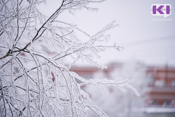 Погода в Коми 23 января: гололед, на севере замерзающий дождь
