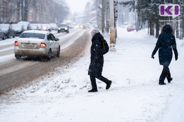 Погода в Коми 27 января: небольшой снег, в Воркуте метель
