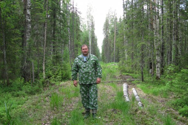 Потревоженная медведица из Прилузья найдет новую берлогу - эксперт Минприроды Коми Алексей Рубцов 
