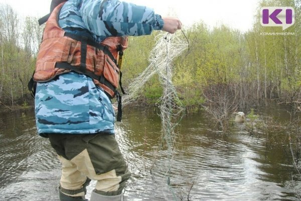 В Сосногорске браконьеры предстанут перед судом за вылов 280 кг рыбы