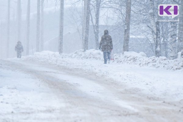 Погода в Коми 9 февраля: небольшой снег, в Воркуте метель