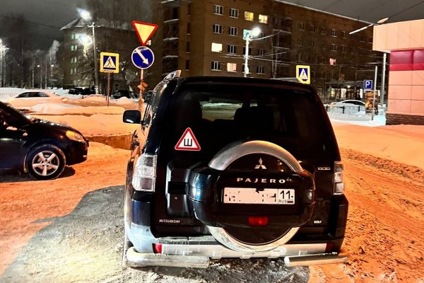 Королева парковки из Ухты получила штраф за нарушение ПДД