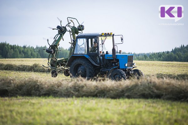 За последние пять лет в Коми стало меньше сельскохозяйственных организаций 