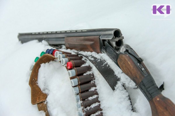 Житель Прилузья осужден за незаконную добычу лося и хранение найденного оружия



