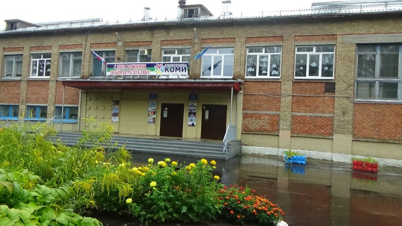 Жители Сыктывкара обеспокоены скоплением крыс возле одной из школ