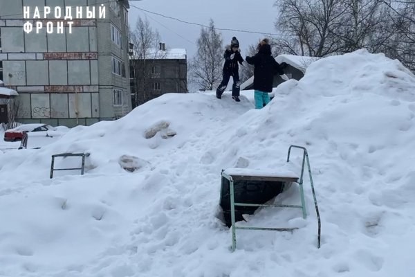 ОНФ в Коми обратил внимание властей Выльгорта на опасную снежную горку