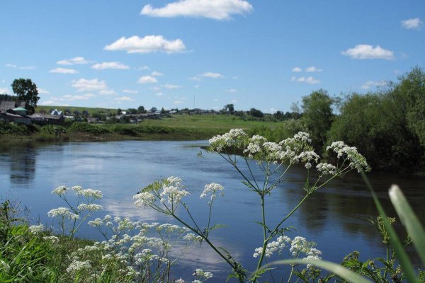 Русло реки Большая Визинга расчистят и углубят в 2023-3024 годах
