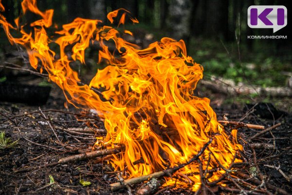 В Коми утвердили перечень населенных пунктов, подверженных пожарам