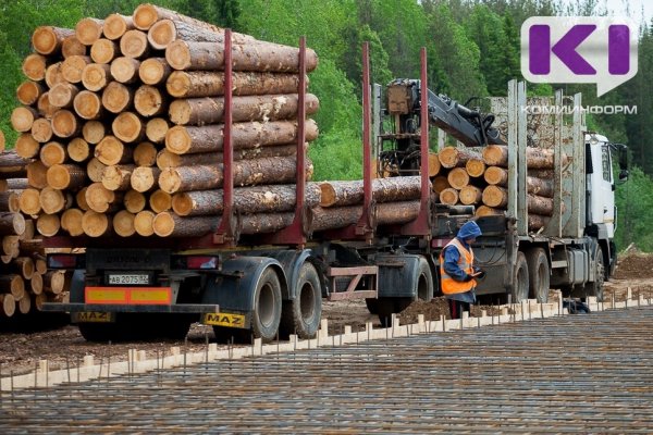 Стали известны причины смертельного несчастного случая на лесозаготовительном предприятии в Прилузье 