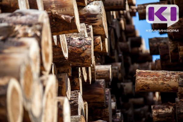 Житель Прилузья обвиняется в незаконной рубке древесины