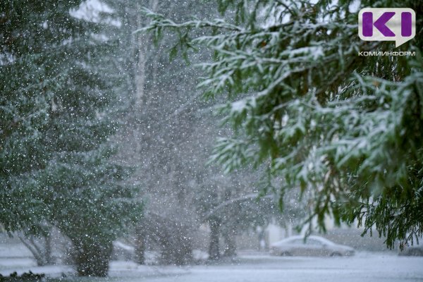 В трех районах Коми ожидаются сильные снегопады