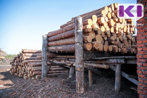 В Коми лесозаготовительное предприятие погасило крупный долг по налогам

