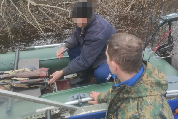В Сыктывдине в охотничьих угодьях обнаружили нарушителя с ружьем 