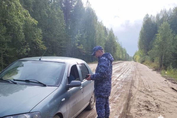 Росгвардейцы провели рейды по оружию в Сысольском и Сыктывдинском районах


