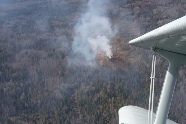 В Усть-Куломском лесничестве ликвидирован лесной пожар 