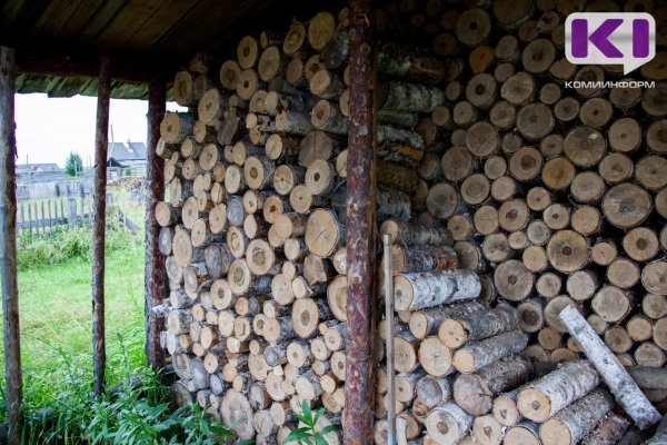 Кто в лес, кто по дрова: в Коми местных чиновников и депутатов обяжут отчитываться по вопросам обеспечения граждан твердым топливом