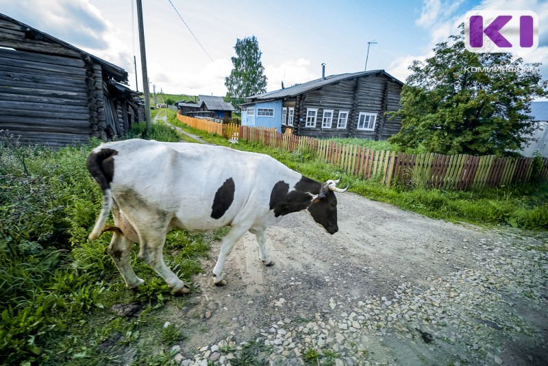 В Троицко-Печорске спасатели достали корову из пожарного водоема