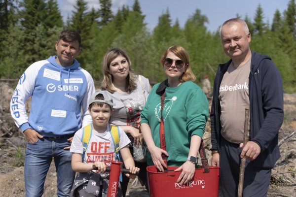 Новый сосновый лес высадили в Республике Коми с участием волонтеров Сбера