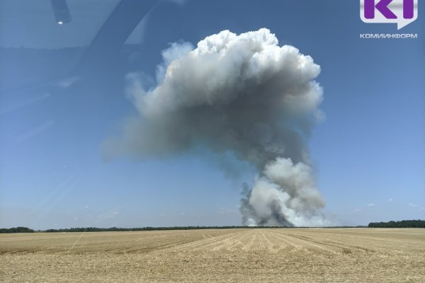 В Троицко-Печорском районе вспыхнул лесной пожар