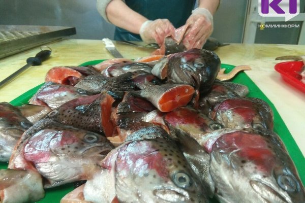 98 процентов рыбной продукции в Коми привозят из других регионов  