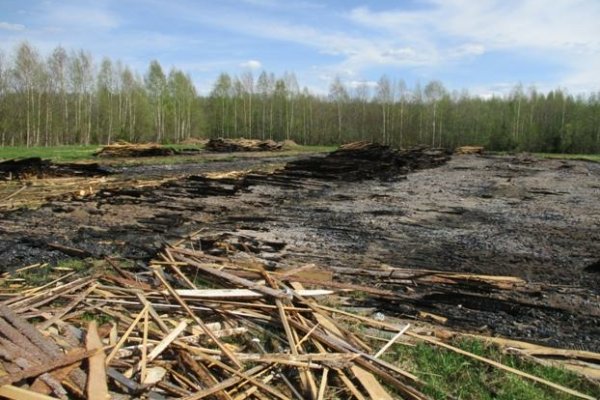 В Сыктывдине нарушение требований земельного законодательства привело к пожару

