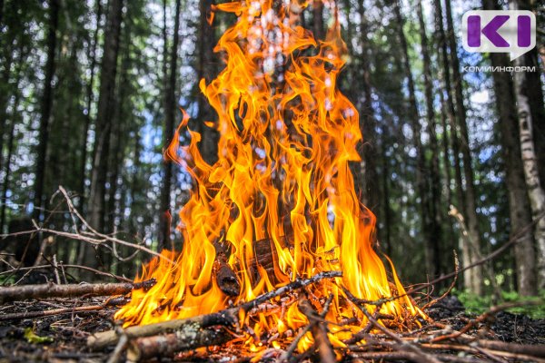 В Койгородском районе вспыхнули лесные пожары 