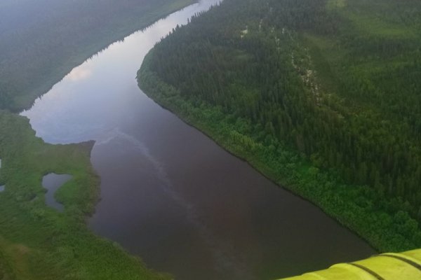 Росрыболовство не зафиксировало гибели рыбы в реке Колве после нефтеразлива 