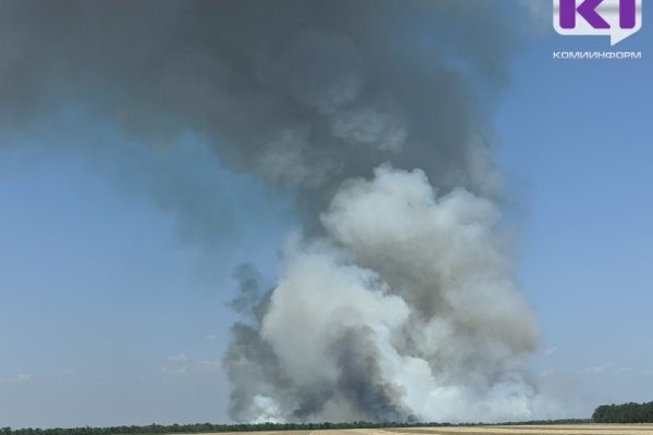В некоторых районах Коми ожидается установление чрезвычайной пожароопасности