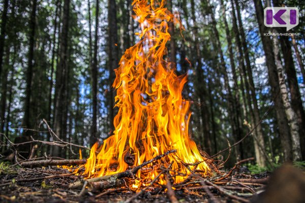 В четырех районах Коми ожидается чрезвычайно пожароопасность