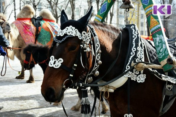 С ижемской деревни Чаркабож снят карантин по анемии лошадей