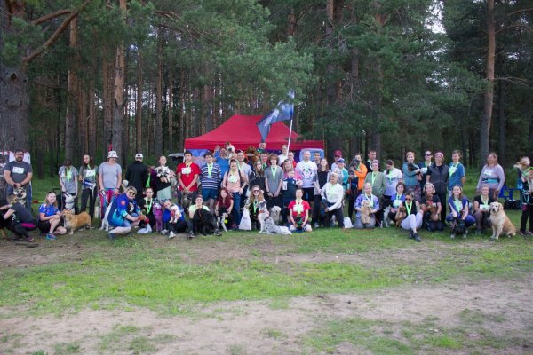 В Сыктывкаре впервые прошли соревнования по экстремальному забегу с собаками
