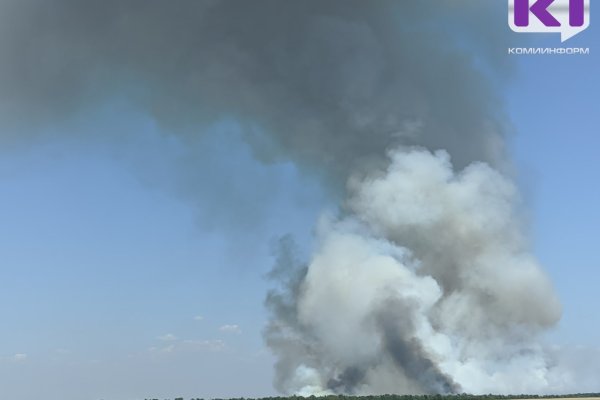 В Коми действует восемь лесных пожаров