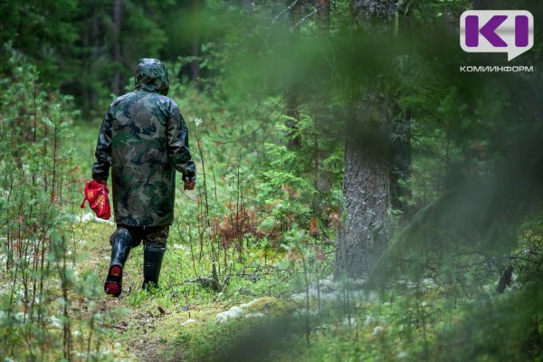 В Корткеросском районе завершены поиски пропавшей в лесу местной жительницы