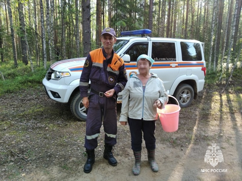 67-летняя жительница Корткеросского района потерялась в лесу и провела ночь на болоте 