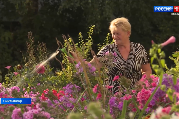 В сыктывкарской Орбите женщины превратили неухоженные газоны в цветущий сад