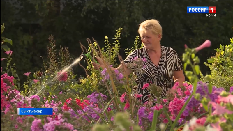 В сыктывкарской Орбите женщины превратили неухоженные газоны в цветущий сад