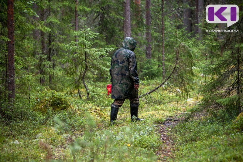 В Троицко-Печорске нашли тело пропавшего год назад мужчины 