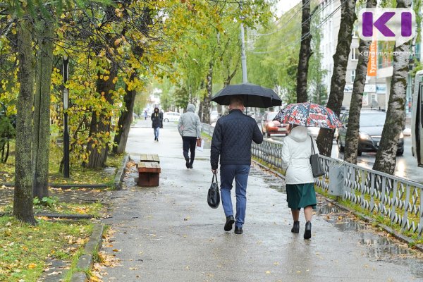 Погода в Коми 8 сентября: кратковременный дождь, +16...+21°С