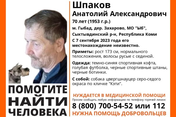 В Сыктывдинском районе пропал 70-летний мужчина с собакой Кэти