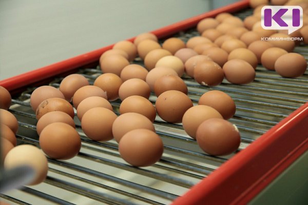 Продавец инкубационных яиц в Коми вовремя не отправил заказ покупателю, за что получил повестку в суд 