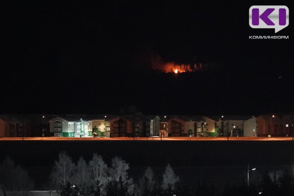 На пожаре в сыктывкарском Лесозаводе погибла женщина 