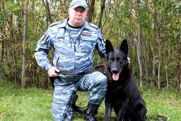 В Троицко-Печорском районе полицейская собака помогла спасти потерявшегося в лесу человека